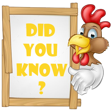 roostershirt Did you know