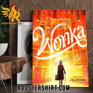Timothee Chalamet Discover How Willy Became Wonka Poster Canvas