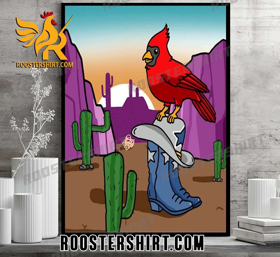 Arizona Sunsets Arizona Cardinals vs Dallas Cowboys Home Decor Poster  Canvas - Binteez