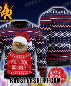 You Look So Ugly Cat Santa Ugly Christmas Sweater